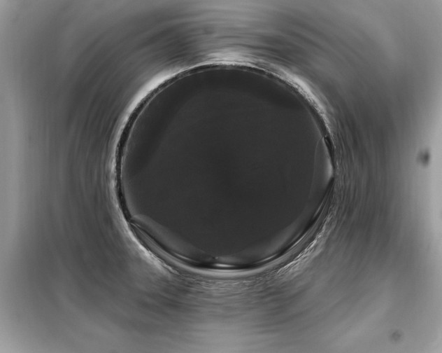 X0000099421331200805091234
