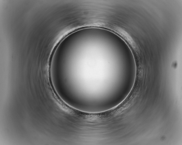 X0000099421332200805091234