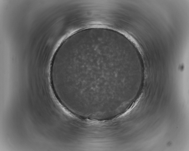 X0000099421333200805091234