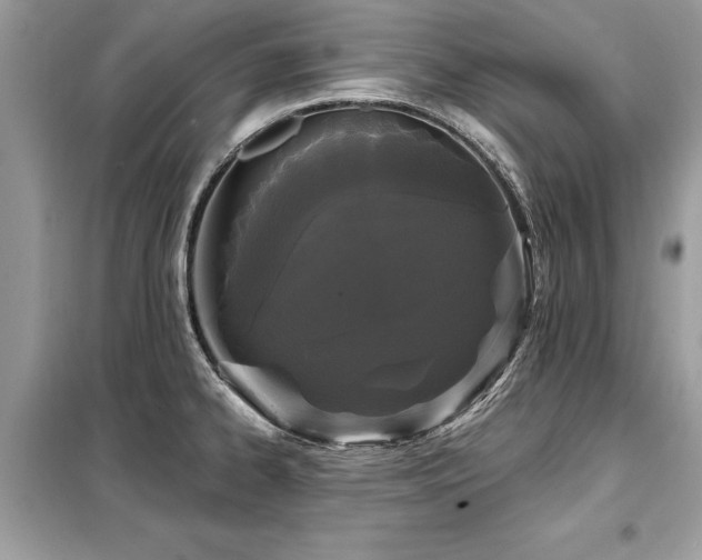 X0000099421334200805091234