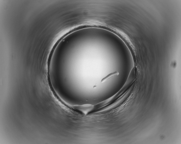 X0000099421335200805091234