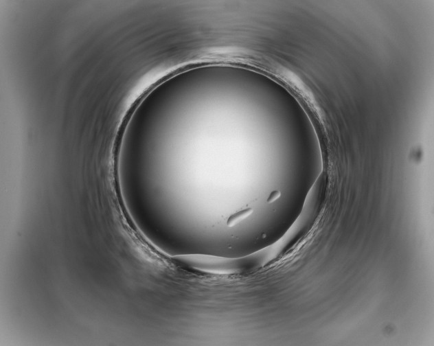 X0000099421336200805091234