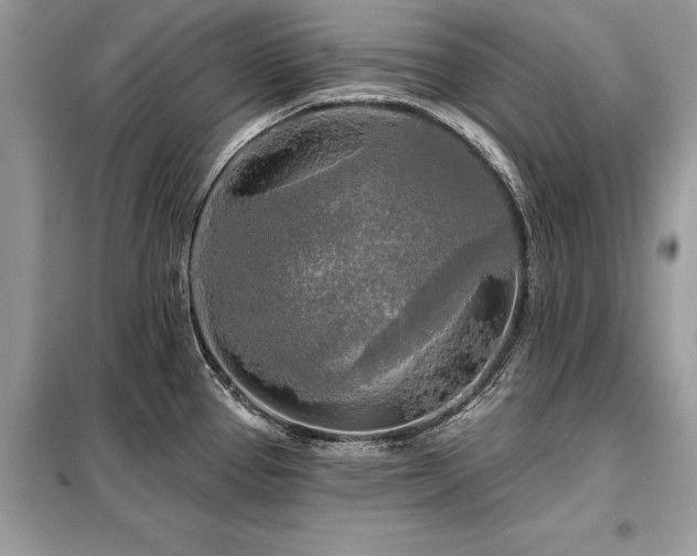 X0000099421337200805091234