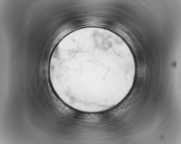 X0000099421338200805091234