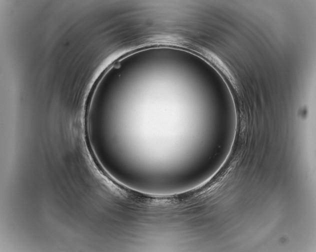 X0000099421339200805091234