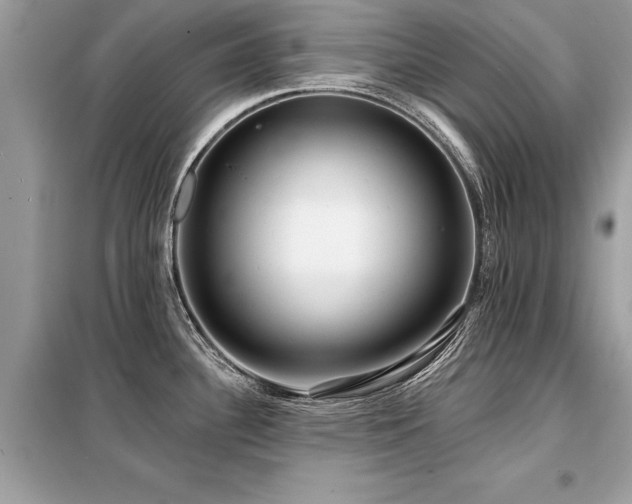 X0000099421340200805091234