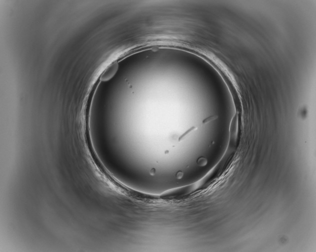 X0000099421341200805091234