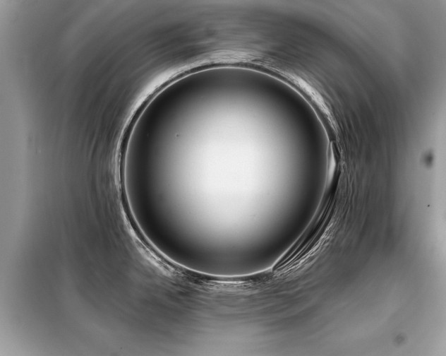 X0000099421342200805091234