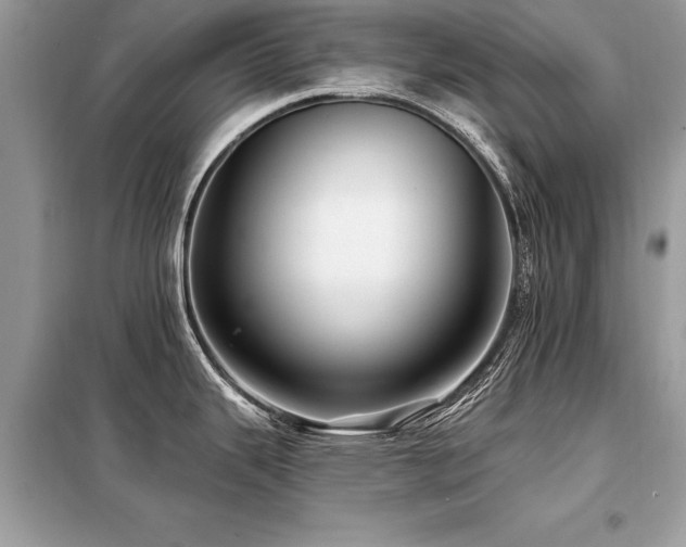 X0000099421343200805091234