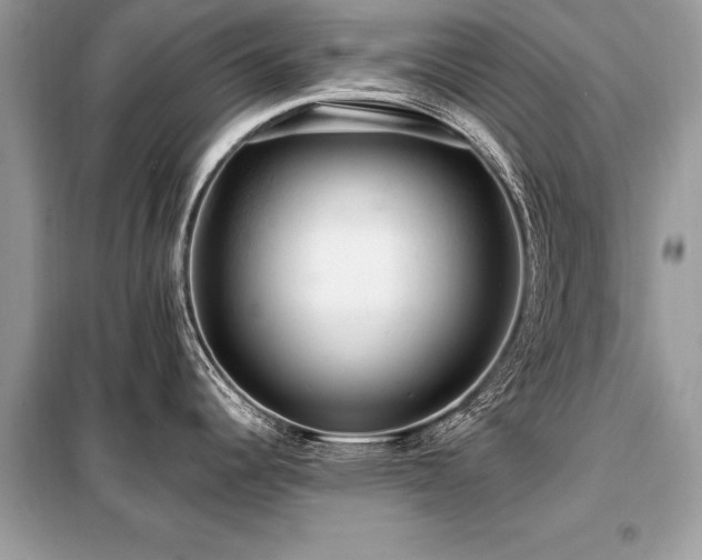 X0000099421344200805091234