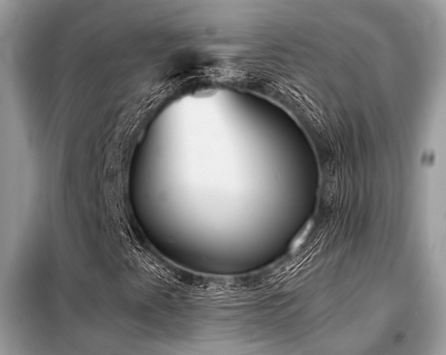 X0000099421345200805091233