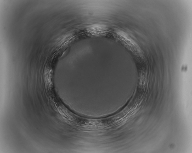 X0000099421346200805091233