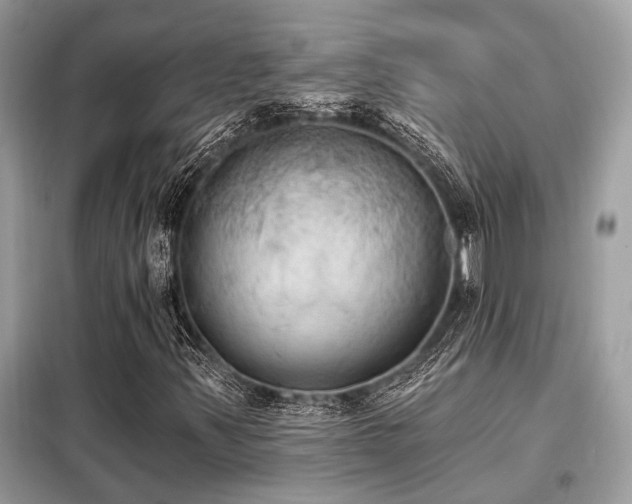 X0000099421347200805091233