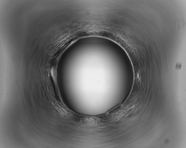 X0000099421348200805091233
