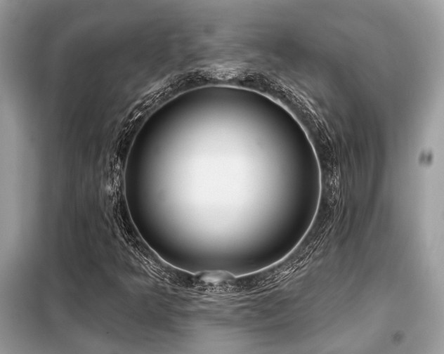 X0000099421349200805091233