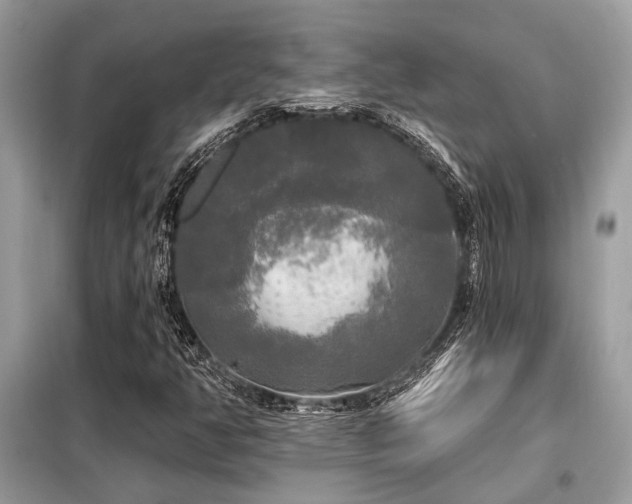 X0000099421350200805091233