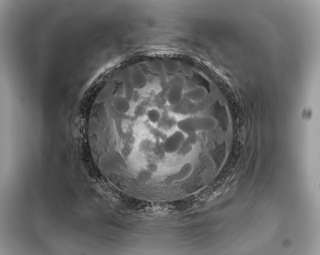 X0000099421351200805091233