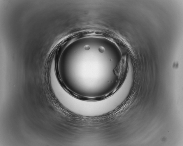 X0000099421352200805091233