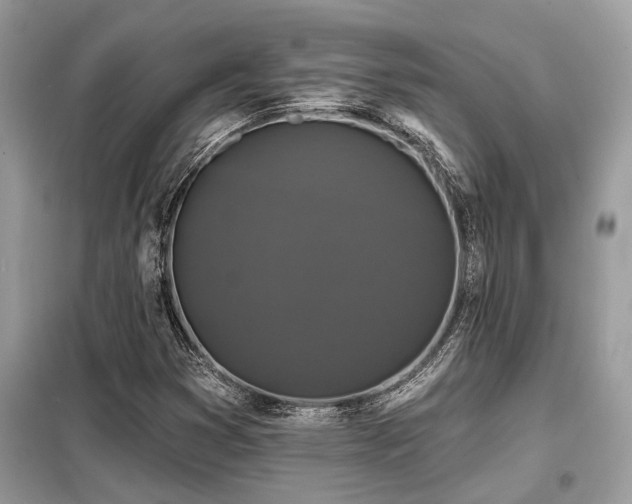X0000099421353200805091233