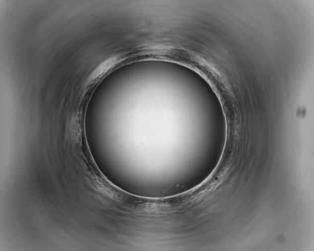 X0000099421354200805091233