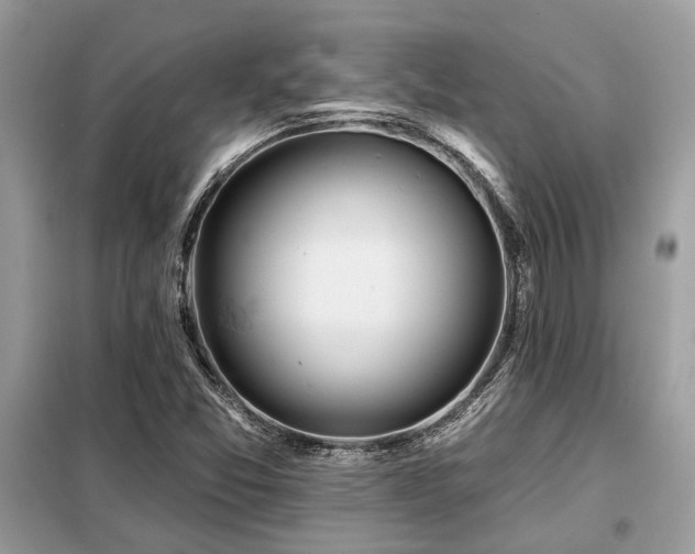 X0000099421357200805091233