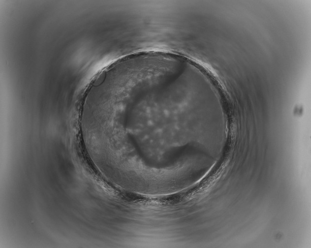X0000099421359200805091233