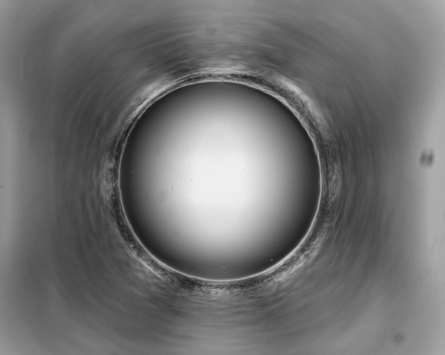 X0000099421361200805091233