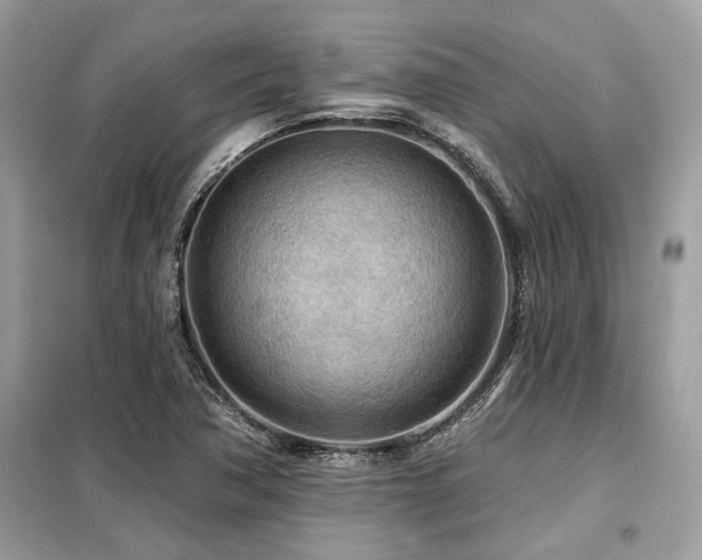 X0000099421362200805091233