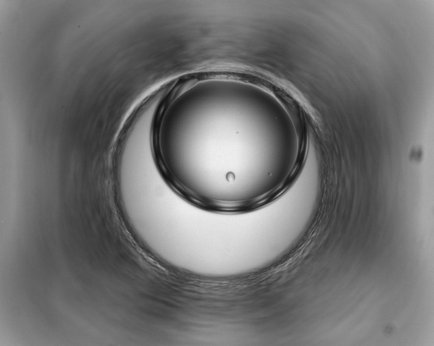 X0000099421364200805091233