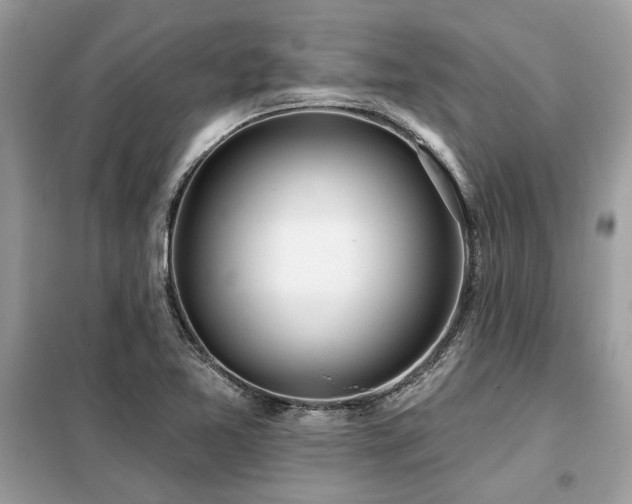 X0000099421365200805091233