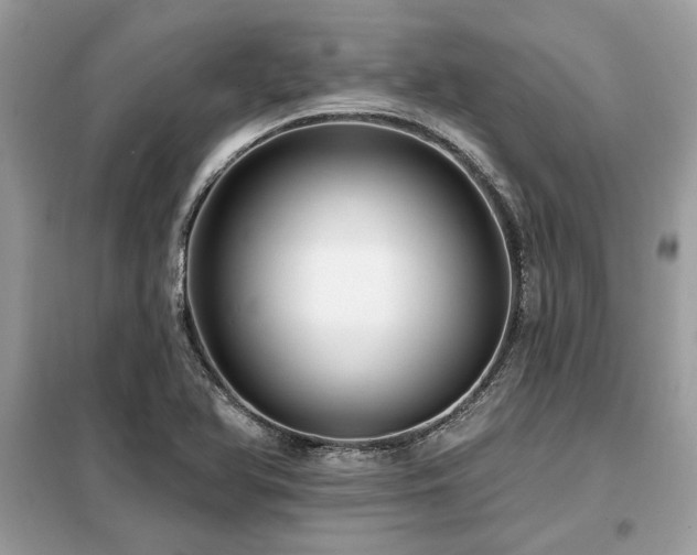 X0000099421366200805091233