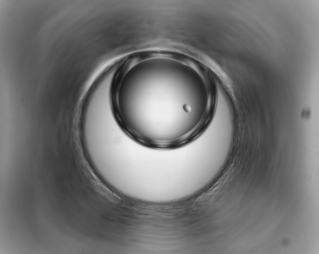 X0000099421368200805091233