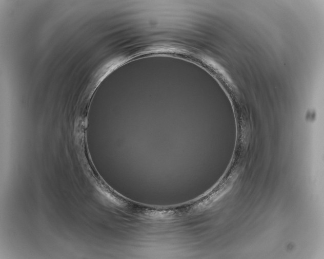 X0000099421369200805091233