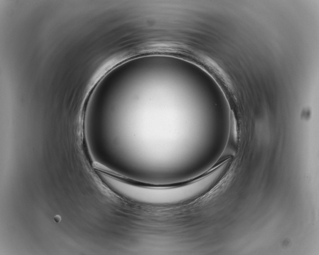 X0000099421370200805091233