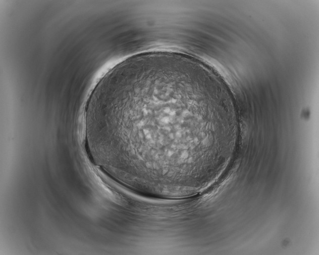 X0000099421371200805091233