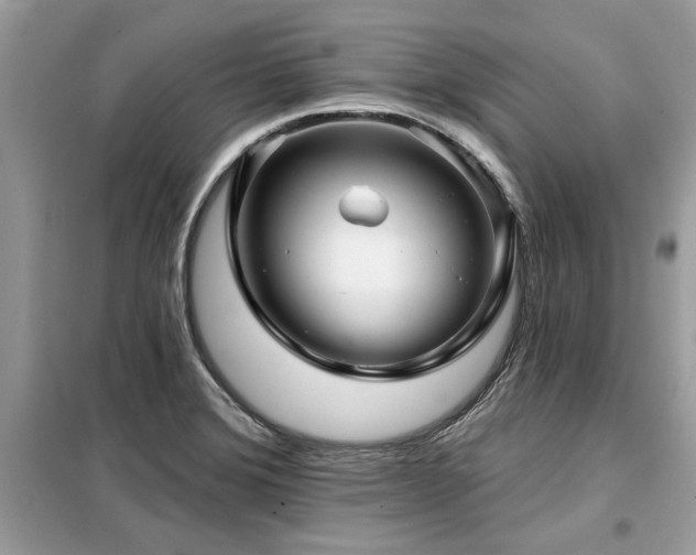 X0000099421372200805091233