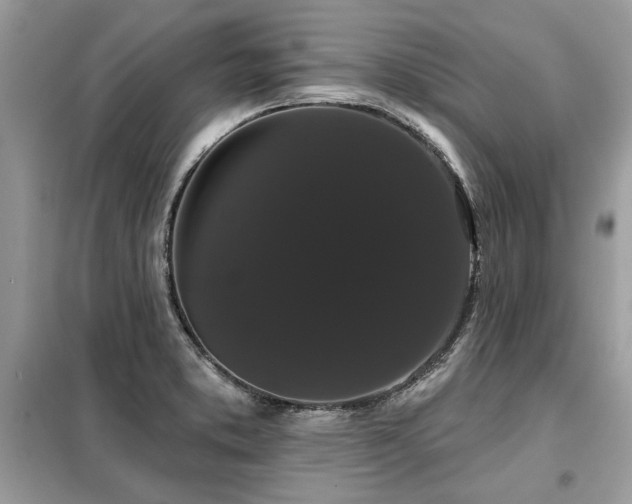 X0000099421373200805091233