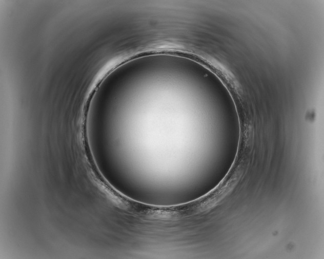 X0000099421374200805091233