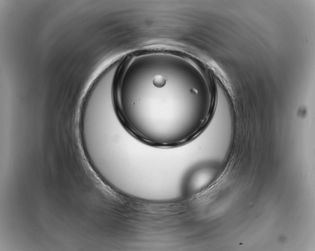 X0000099421376200805091233