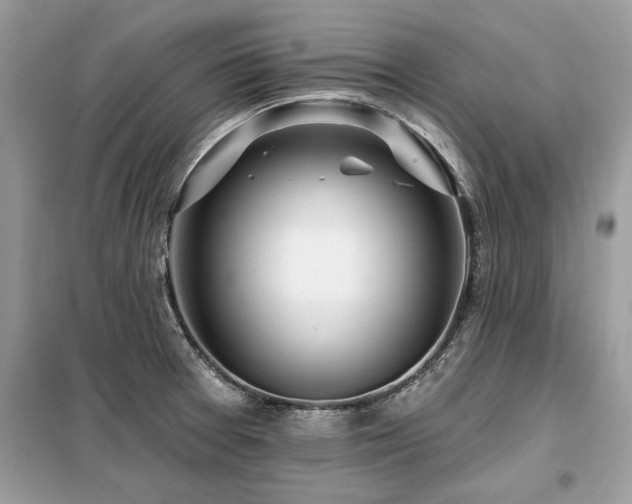 X0000099421377200805091233