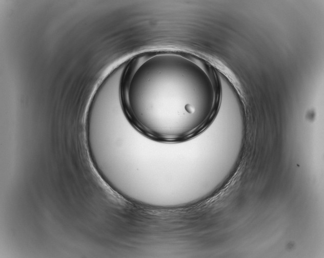 X0000099421380200805091233