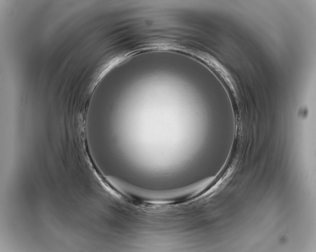 X0000099421385200805091233