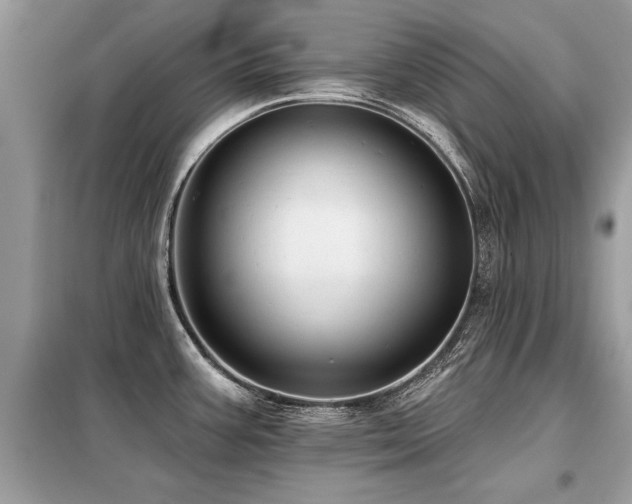 X0000099421387200805091233