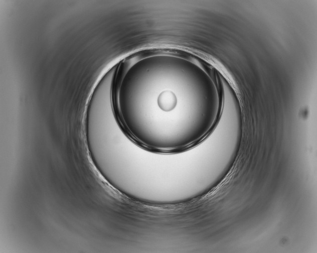 X0000099421388200805091233