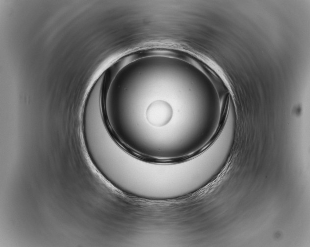 X0000099421389200805091233