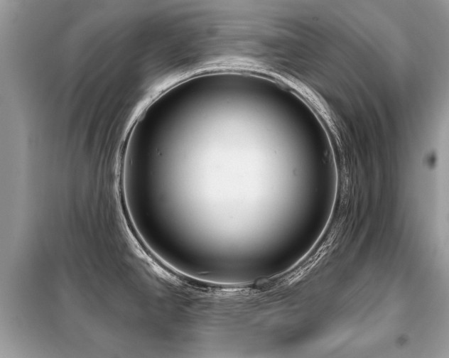 X0000099421390200805091233