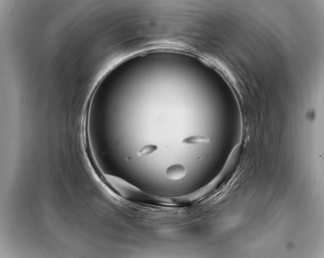 X0000099421391200805091233