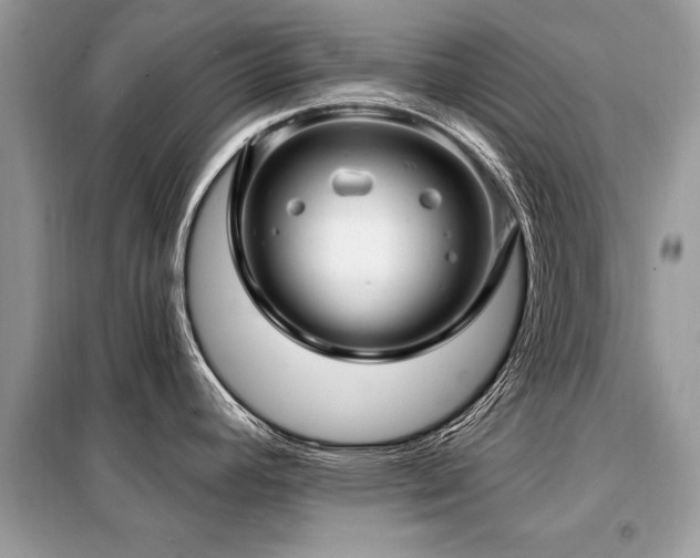 X0000099421392200805091233