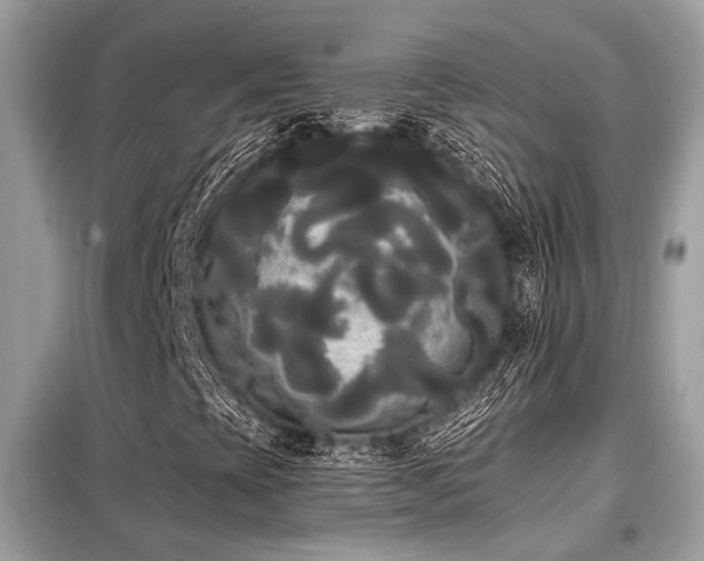 X0000099421393200805091232