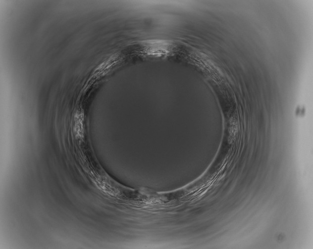 X0000099421394200805091232